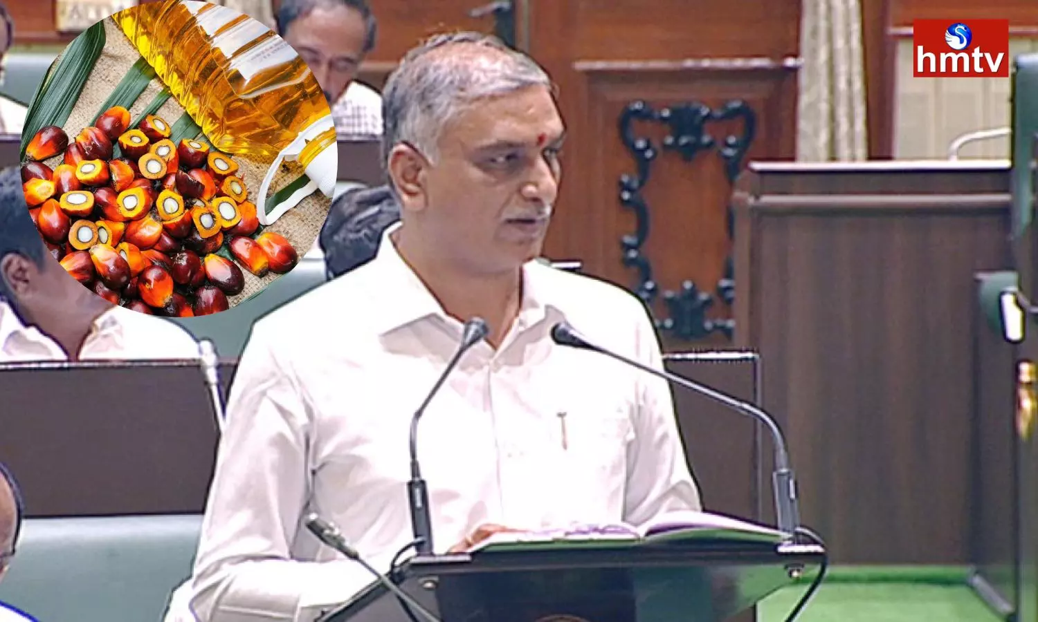 Harish Rao Announced Rs 1000 Crores Budgetary for Oil Palm Cultivation