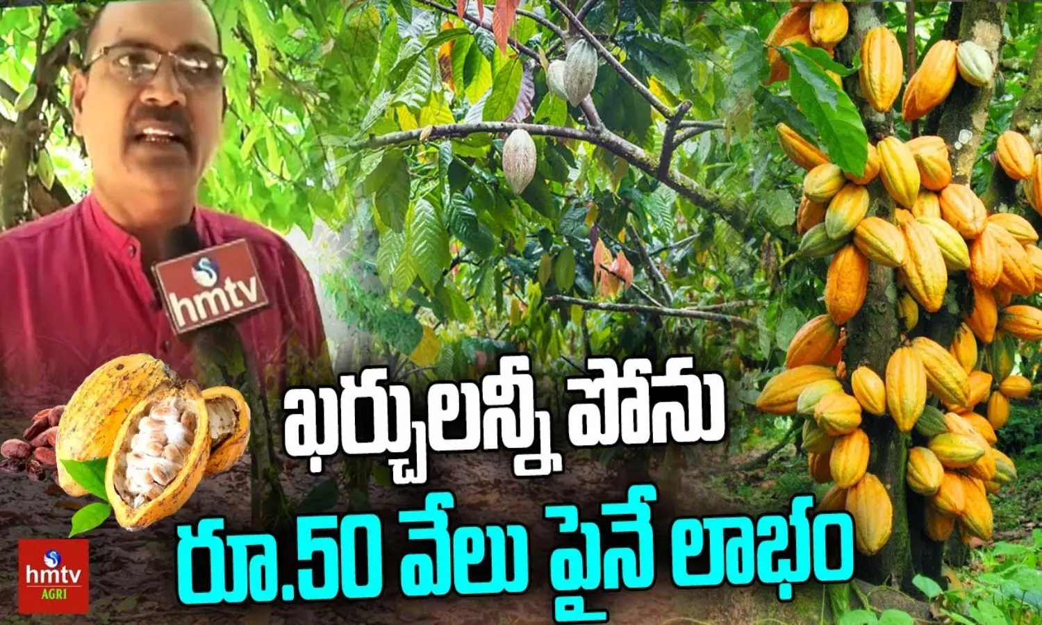 Success Story of Cocoa Farmer in Srikakulam