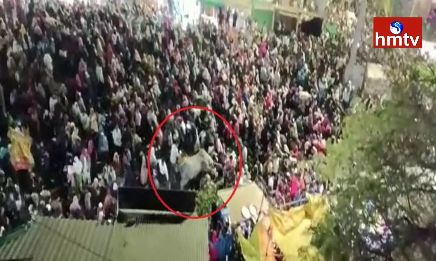 Bull Attacks People During Urs Fair in Osmanabad Bull Attacks People During Urs Fair in Osmanabad