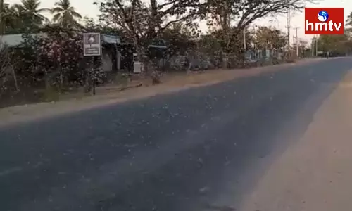 Mosquito Swarm Spread Like A Whirl Wind In Khammam Mosquito Swarm Spread Like A Whirl Wind In Khammam