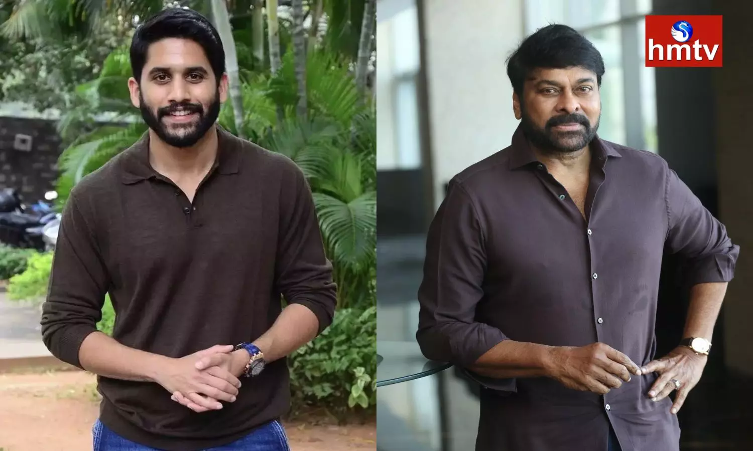 Chiranjeevi Is Going To Make A Film With Naga Chaitanya Director