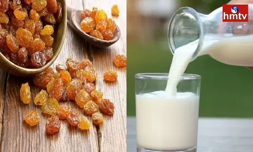 If You Boil Raisins in Milk and Eat them you Will get Amazing Results If You Boil Raisins in Milk and Eat them you Will get Amazing Results