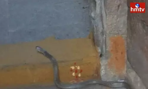 Snake In Uma Maheswara Temple Snake In Uma Maheswara Temple