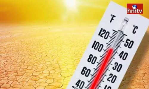 Burning Sun In February