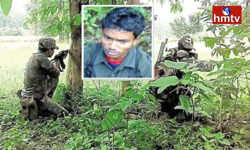 Maoist Srinubabu Arrest in Andhra and Orissa Border Maoist Srinubabu Arrest in Andhra and Orissa Border