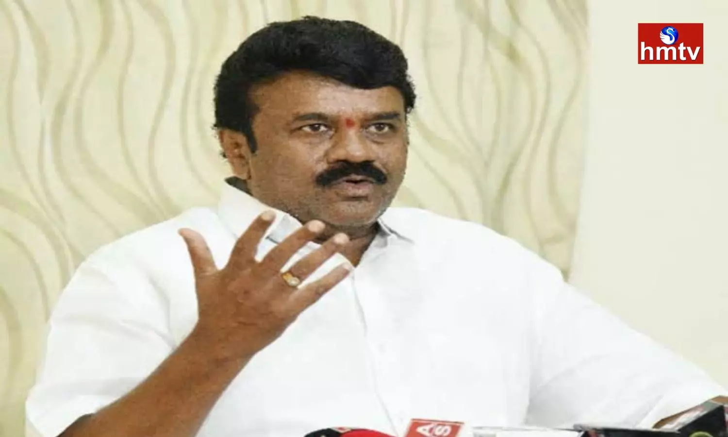 Talasani Srinivas Yadav Comments On Stray Dogs