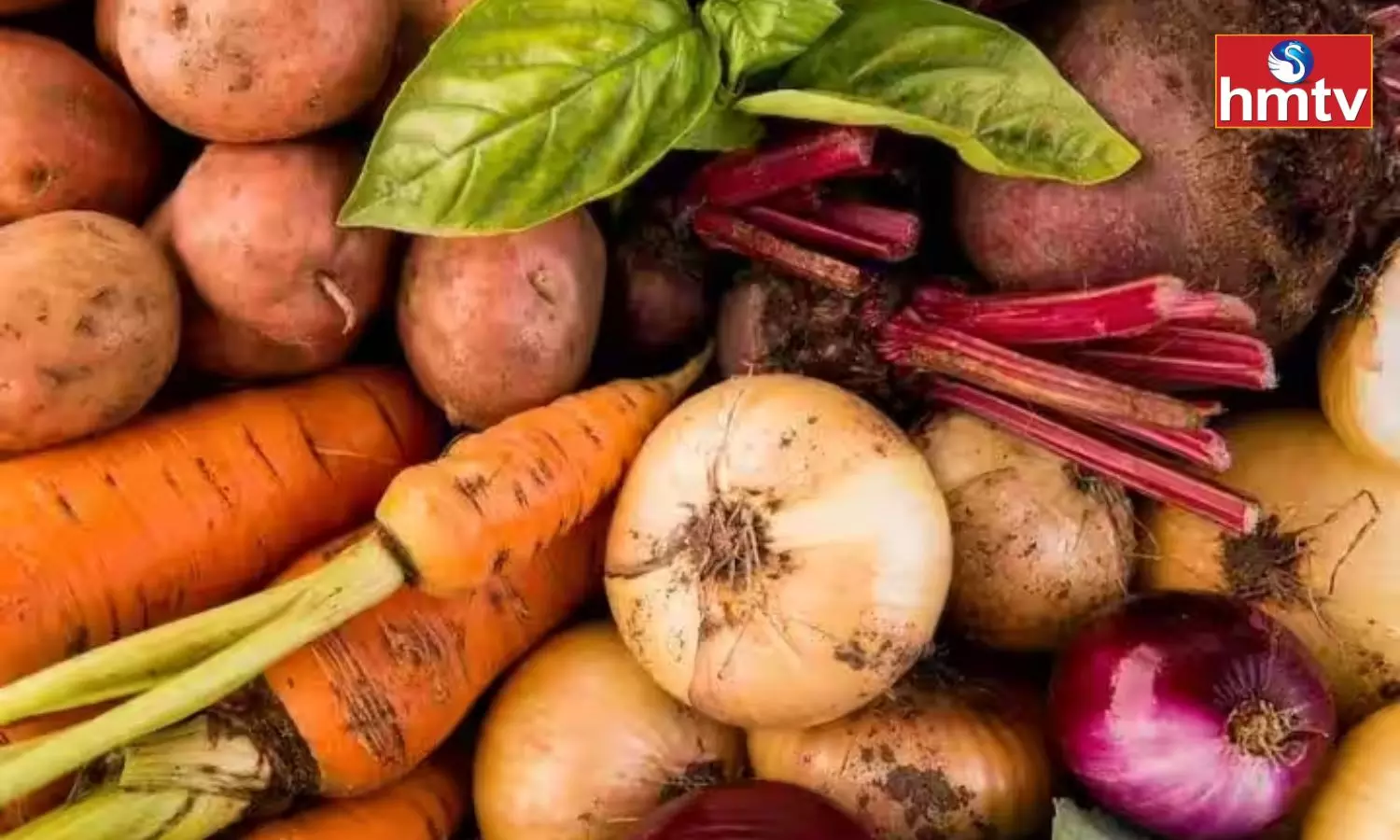 Many Diseases can be Removed by Eating Root Vegetables Know the Benefits