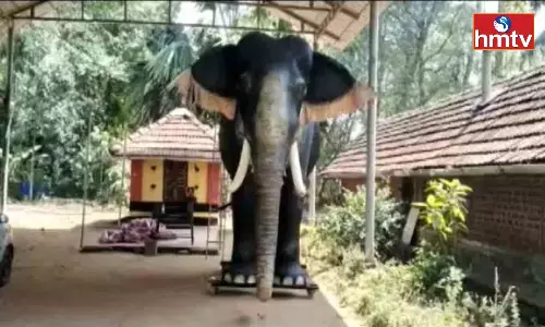 Kerala Temple Deploys Robotic Elephant for Festival