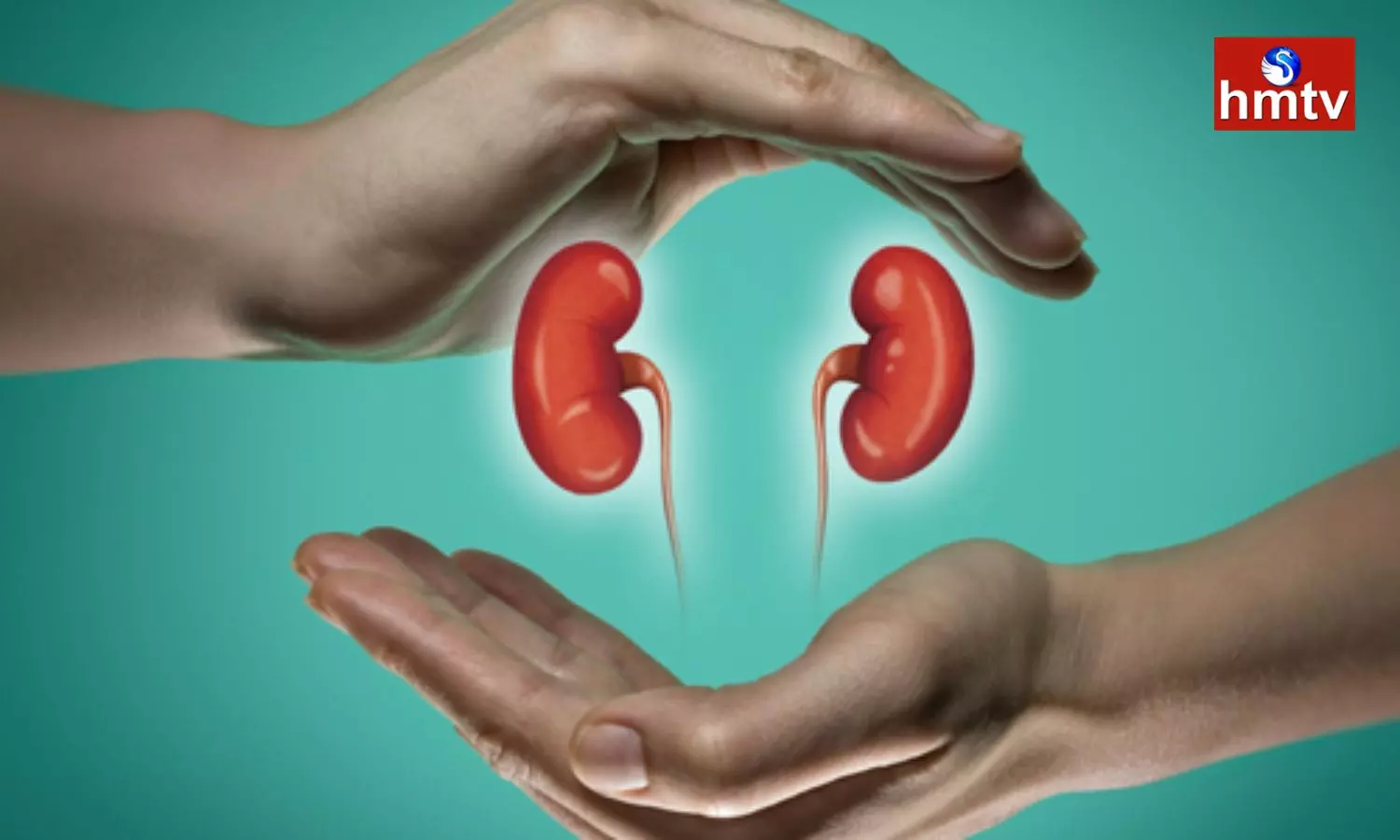These Habits Should Be Followed To Keep The Kidneys Healthy Otherwise Health Problems Will Occur