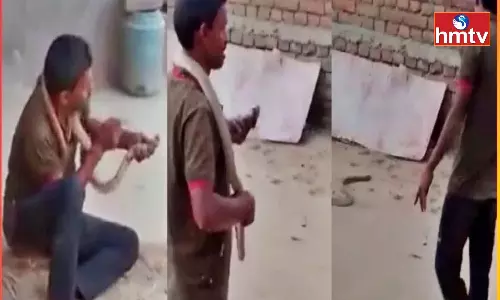 Drunk Man Dies After Kissing Snake in Bihar Drunk Man Dies After Kissing Snake in Bihar