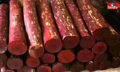 The Center Reacts to Red Sandalwood Smuggling The Center Reacts to Red Sandalwood Smuggling