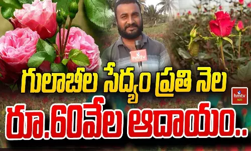 Farmers Success Story of Rose Farming