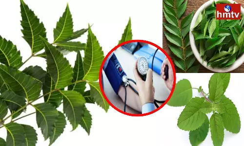 Are you Suffering from High BP Chew these 3 Green Leaves a Day
