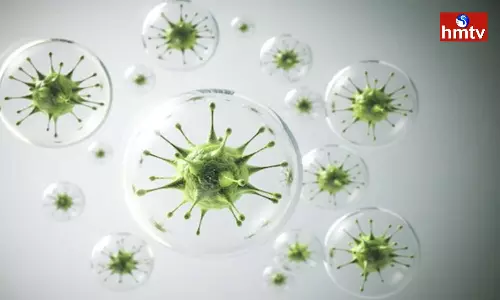 H3N2 Virus Shaking The Country