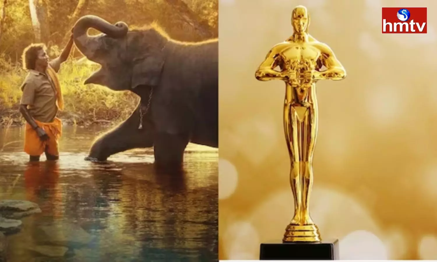 The Elephant whisperers Wins Oscar in Best Documentary Short Film