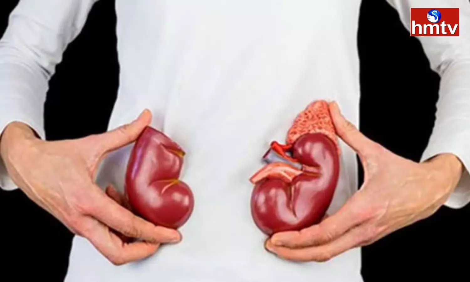 Due to These Bad Habits the Kidneys are Getting Damaged the Risk of Other Diseases is Increasing