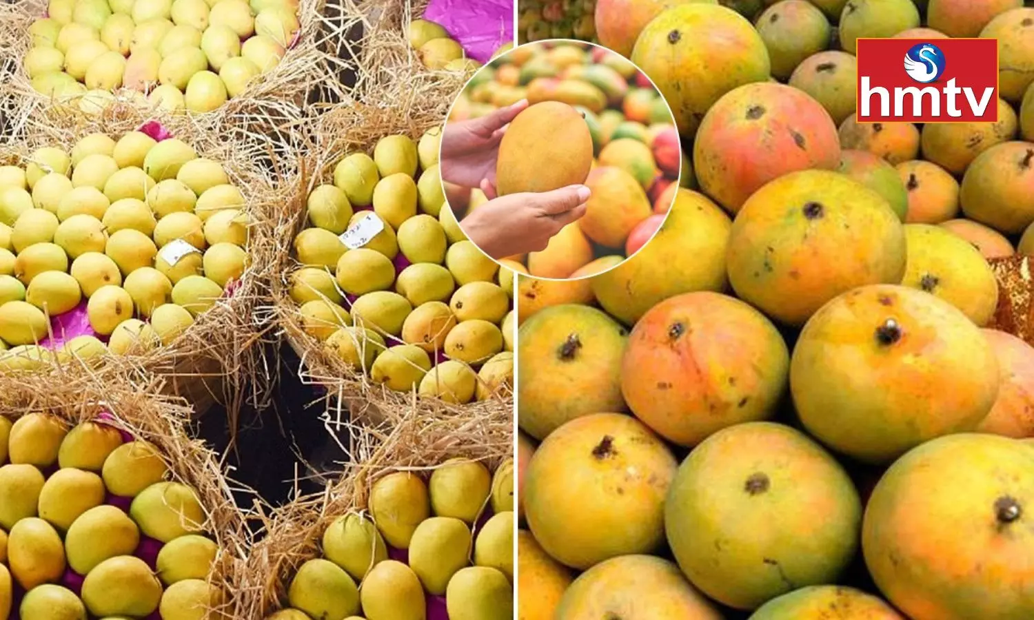 Identify Chemically Farmed Mangoes Using These Tips