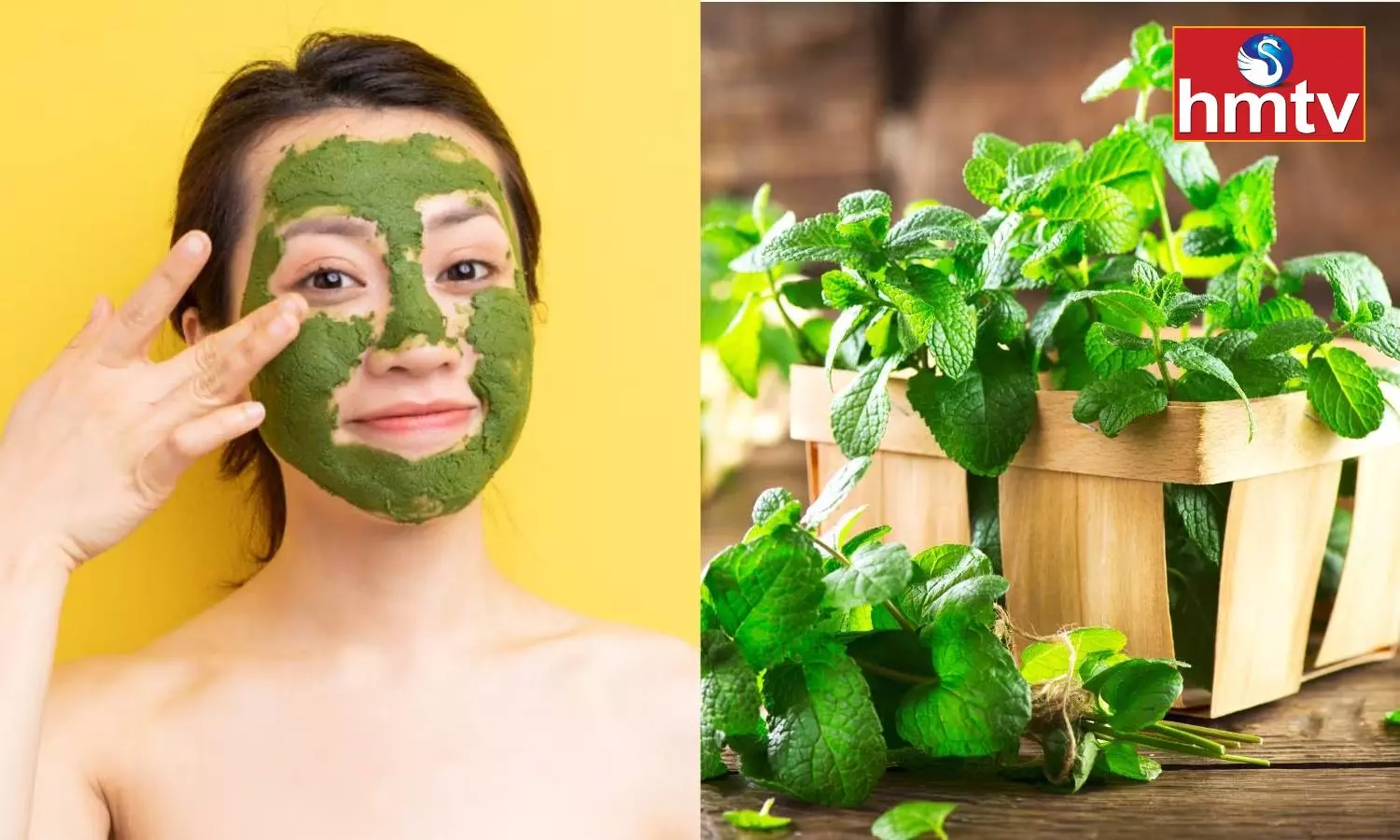 To Keep the Skin Cool and Fresh in Summer Definitely Include Mint in the Skin Care Routine