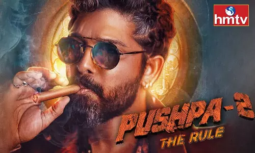 The Fight Scene in Pushpa 2