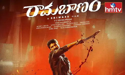 Gopichand Ramabanam Is Facing Difficulties In Terms Of Budget Gopichand Ramabanam Is Facing Difficulties In Terms Of Budget