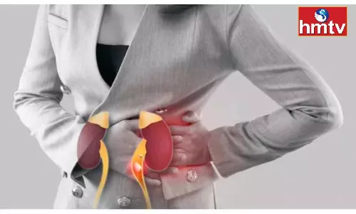 Take Care of Kidney in These Ways Body Will Always be Fit Take Care of Kidney in These Ways Body Will Always be Fit
