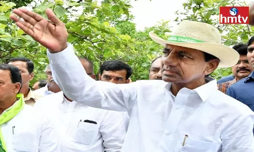 CM KCR About Crop Damage Across The State