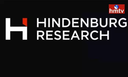 Hindenburg Revealed Another Sensational Report