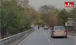 Cheetah Halchal On Ghat Road In Tirumala