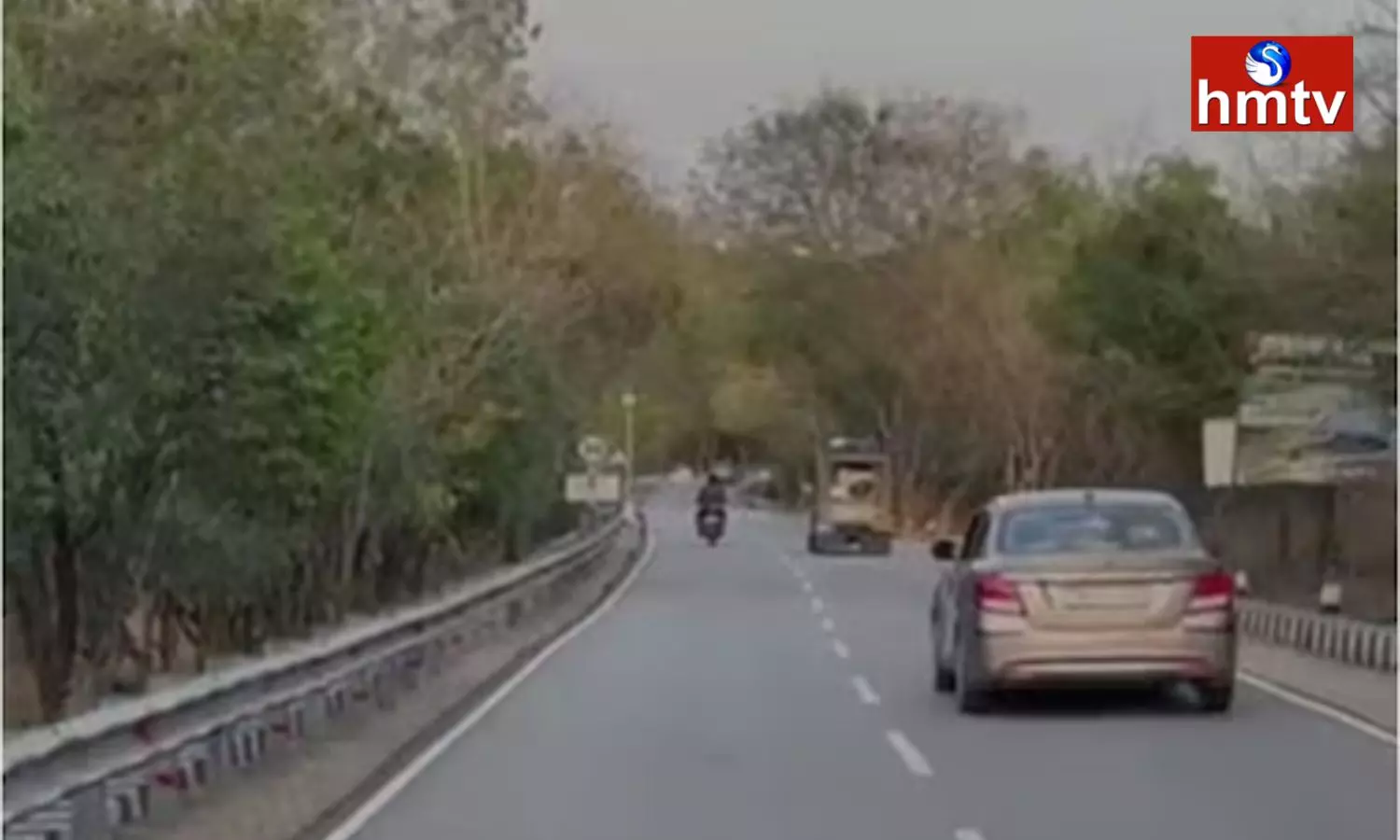 Cheetah Halchal On Ghat Road In Tirumala Cheetah Halchal On Ghat Road In Tirumala