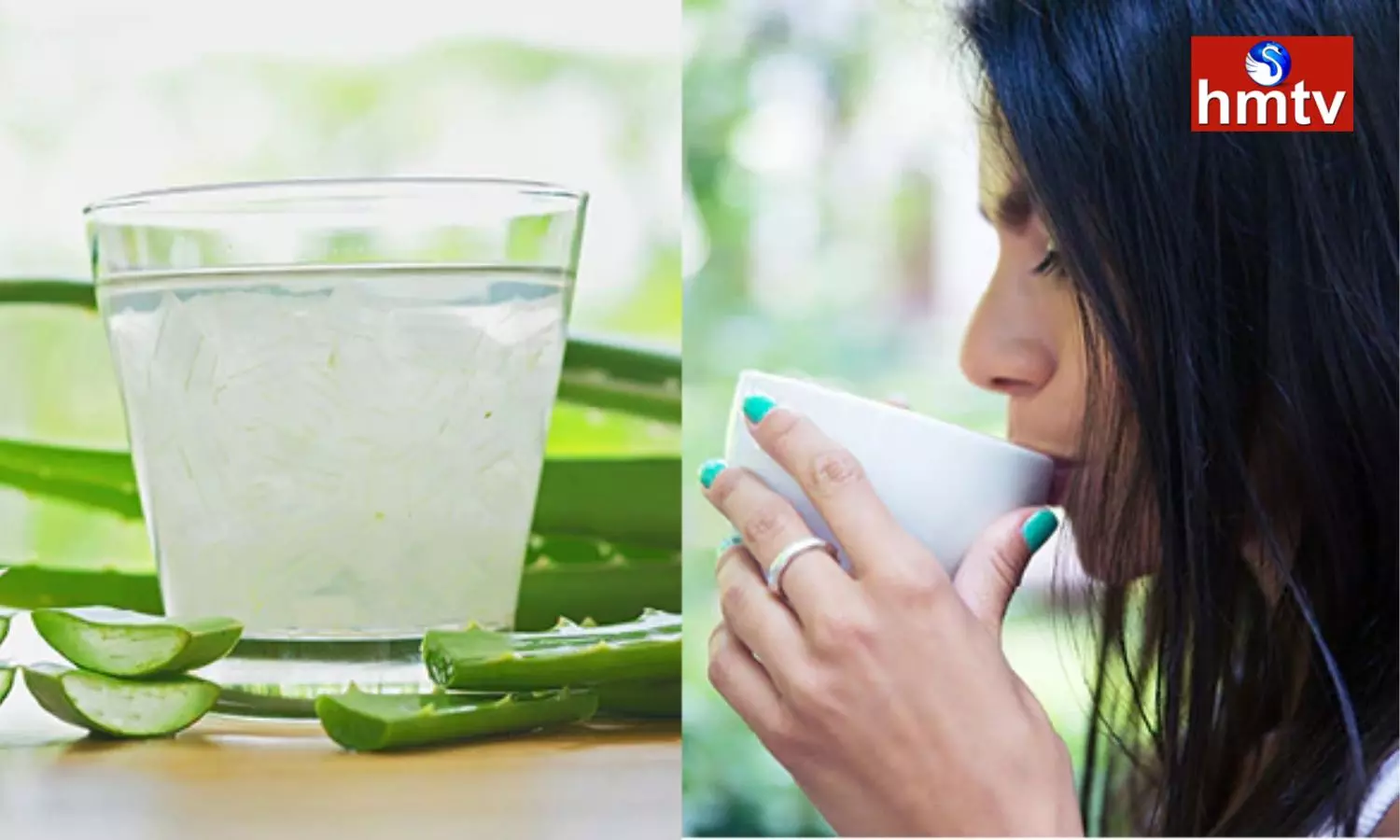 Eating Aloe Vera has Amazing Benefits Know About Them
