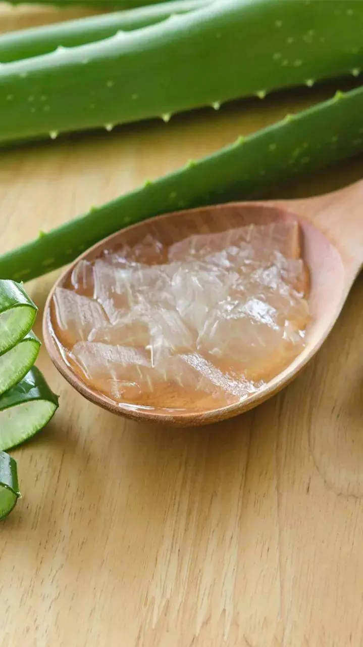 Health Tips: కలబంద అందానికే కాదు ఆరోగ్యానికి కూడా..
