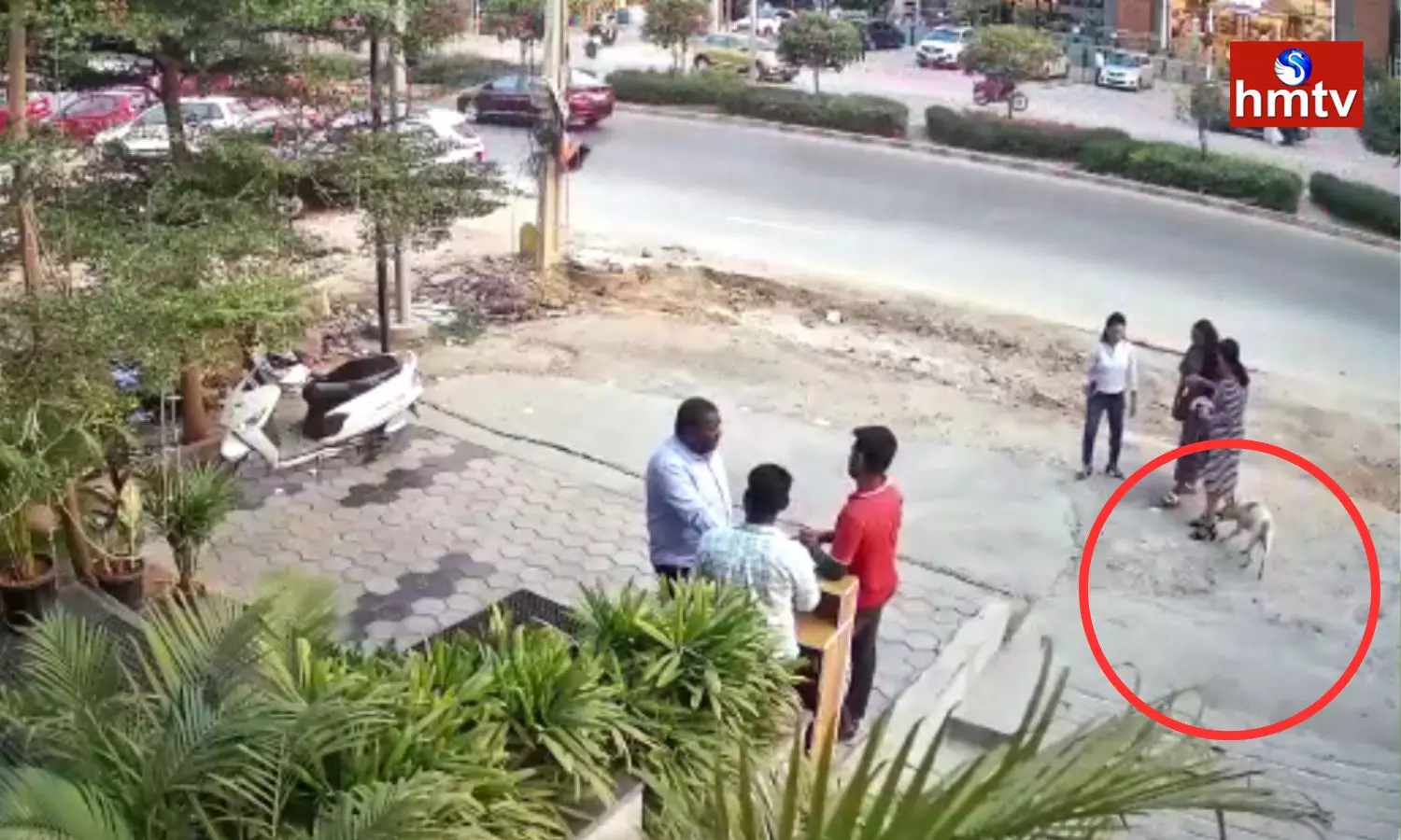 Stray Dog Attack In Khajaguda Hyderabad