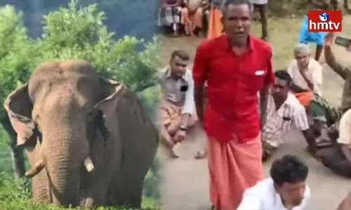 Wild Elephants Terror In Idukki District Kerala