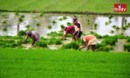 Government gave Good News To Nellore Farmers