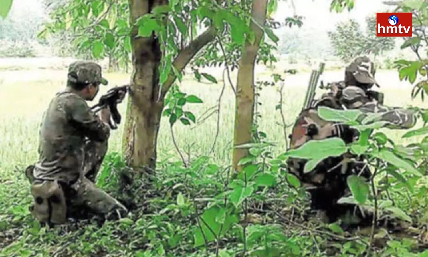 Five Naxals Killed In An Encounter In Jharkhand