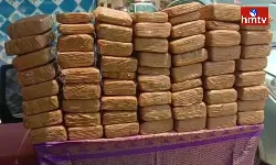 Heavy Dose Of Ganjai seized In Kodada
