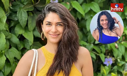 Fans Trolls Mrunal Thakur on Bikini Photos