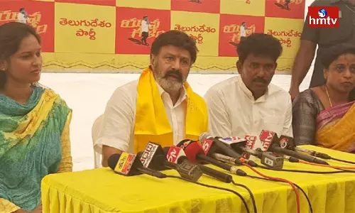 MLA Balakrishna Comments On AP Politics