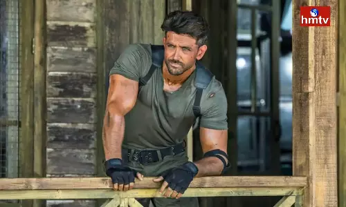 Hrithik Roshan Fielded Tiger Instead Of Liger