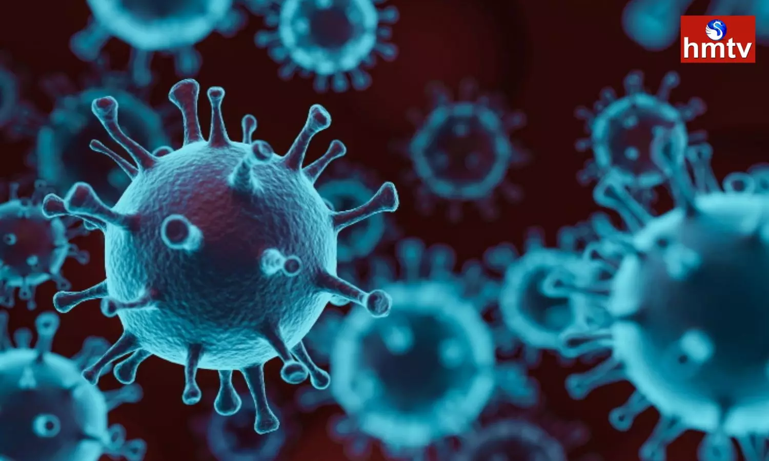 India Recorded 7830 New Coronavirus Infections