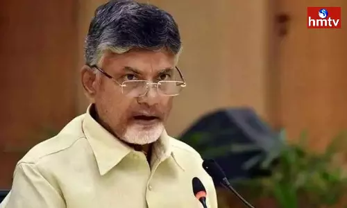 TDP Chandrababu Naidu Comments