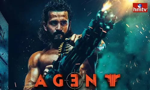 The Agent Craze that Fell from the Sky to the Ground in Six Months