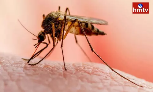Oxford University, Serum Institute of India Deliver R21/Matrix-M Malaria Vaccine