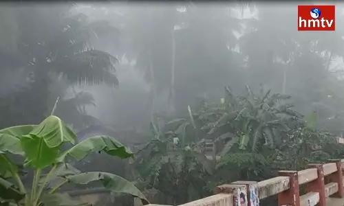 Fog in Razole of Ambedkar Konaseema District