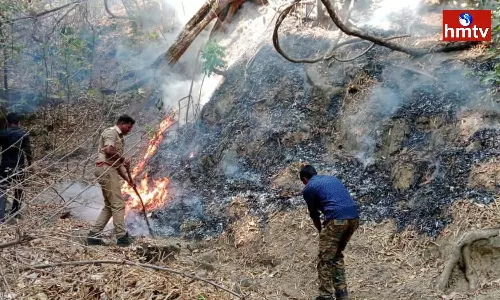 Fire In Coimbatore Forest Fire In Coimbatore Forest