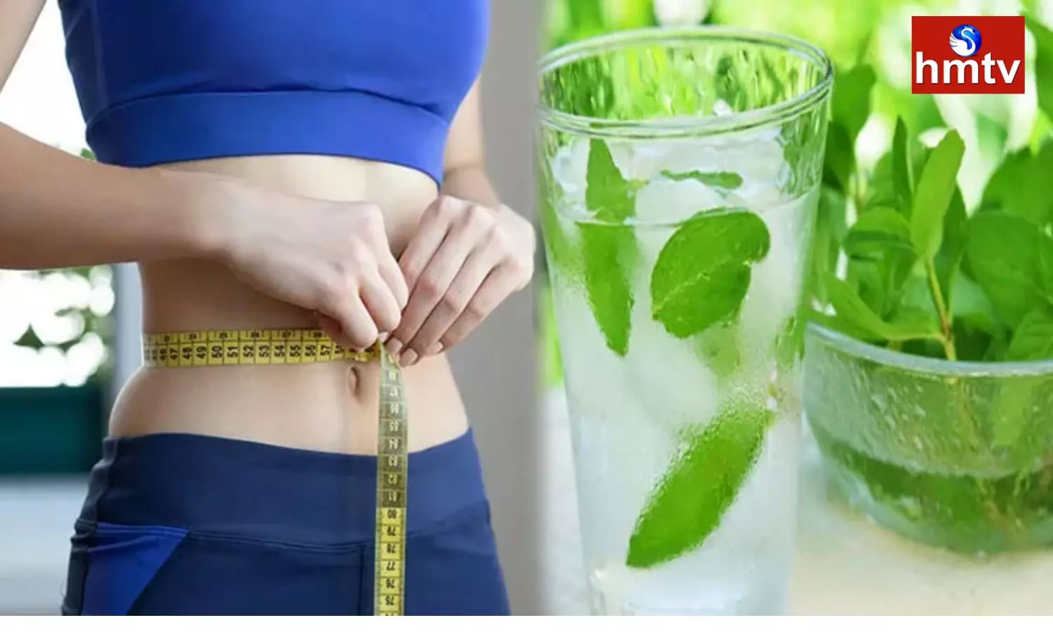 Add Mint Your Diet Chart for Weight Lose Check Full Details