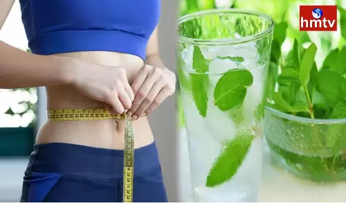 Add Mint Your Diet Chart for Weight Lose Check Full Details Add Mint Your Diet Chart for Weight Lose Check Full Details