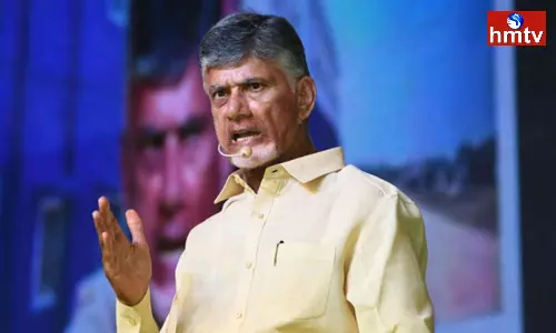 Chandrababu Hot Comments on Viveka Murder Case Chandrababu Hot Comments on Viveka Murder Case