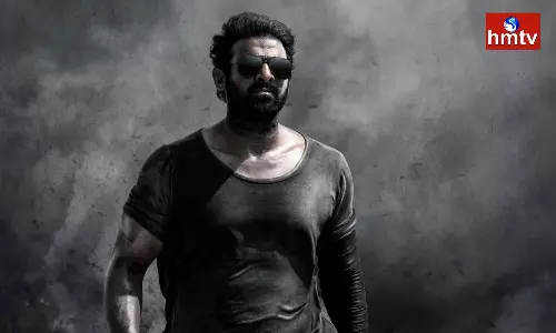 Prabhas Will Be Seen In Negative Role