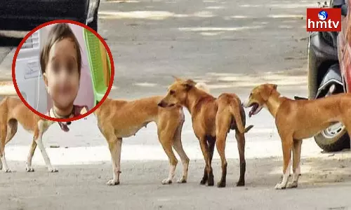 Child Died in an Attack by Stray Dogs in Srikakulam District
